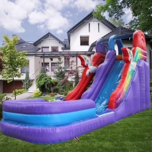 Max Capacity of 100-500kg Inflatable Water Slide for Adults PVC Material