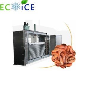 Multi Functional Seafood Freezer Handling Both Block Freezing and Individual