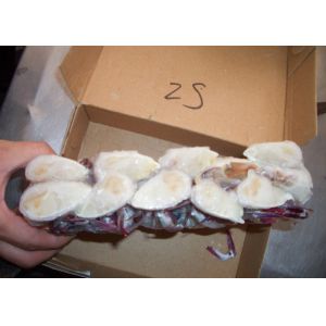 Half Cutted Portunus Crab