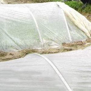 Cheap Stiffened Edge PP Spunbond Agriculture Non Woven Fabric For Plant Cover 4% UV Treated for sale