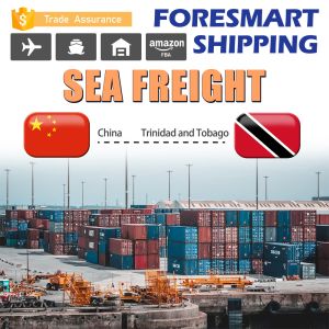 China To Trinidad And Tobago FCL Sea Freight Forwarder