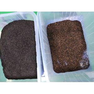 High Accuracy Tea Color Sorter Machine Optical Sorting Solution Quickly Remove