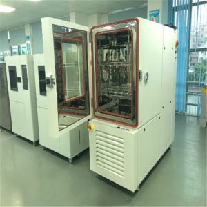 98%RH Environment Test Chamber For Rapid Temperature Change