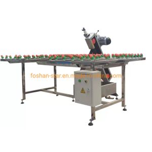 Convection Model Tempering Furnace Glass Fast Grinding Machine with Remote