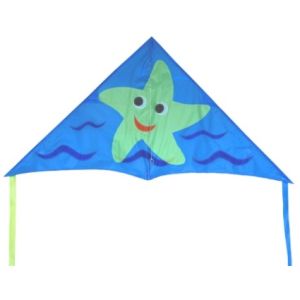 125*70cm Delta Wing Kite Single Line Type 2-5bft Swing Range Easy Assembled