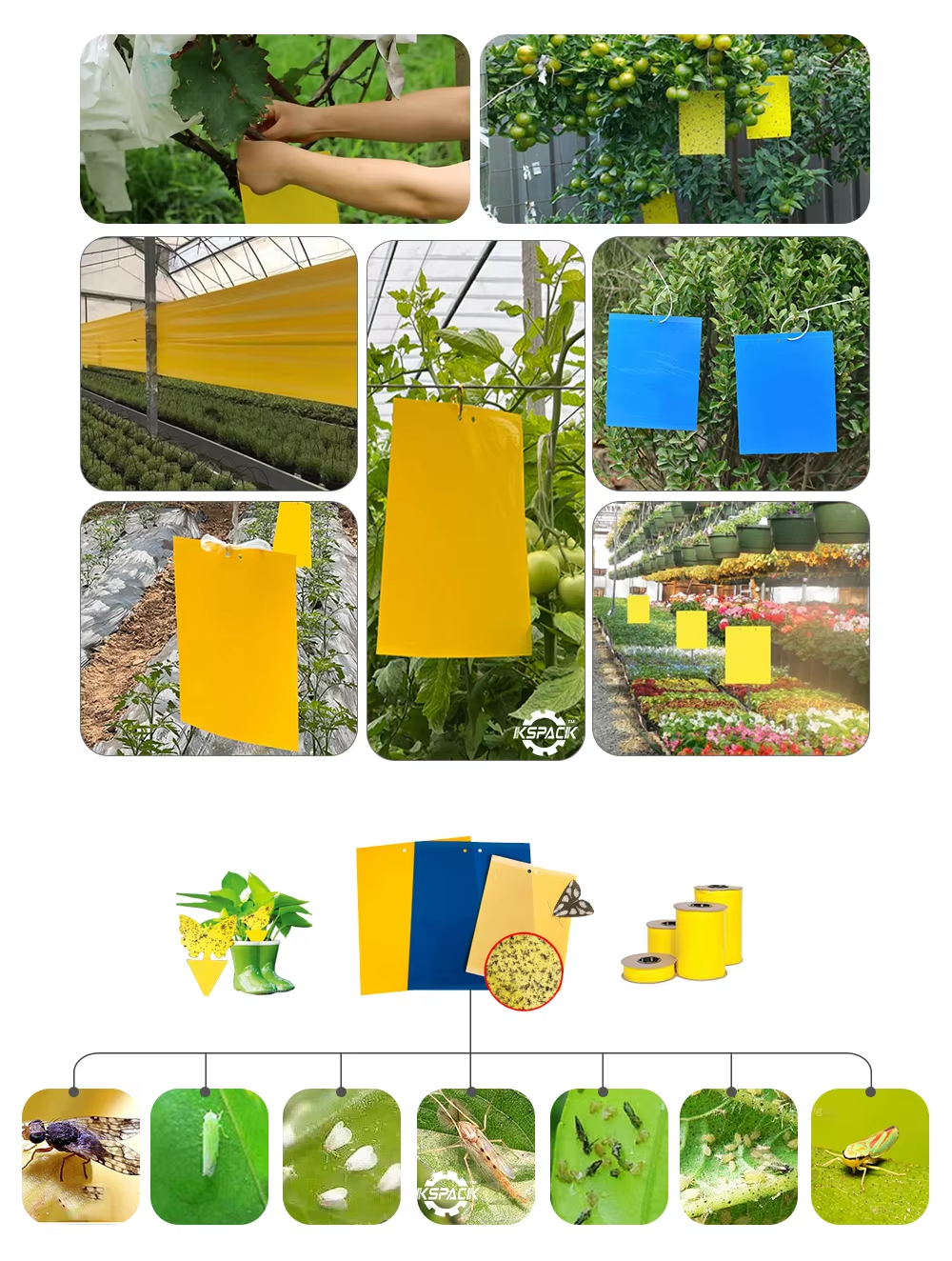 Hot Melt Glue Adhesive Coating Machine Mouse Rat Rodents Traps Board Making