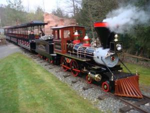 China Locomotive Steam Engine Train Rides Day Trip Train Rides For Theme Park on sale