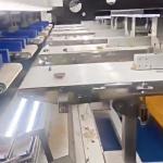 Precision Intelligent Walnut Kernel Sorter AI-powered Grading Machine Custom