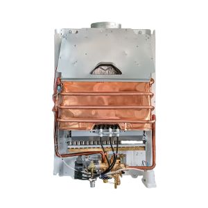 20L Smart Balanced Indoor Tankless Constant Temperature Water Heater