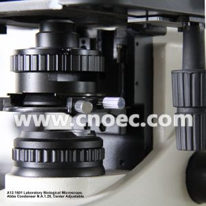 Laboratory Compound Optical Microscope Halogen Illumination Microscopes A12.1501