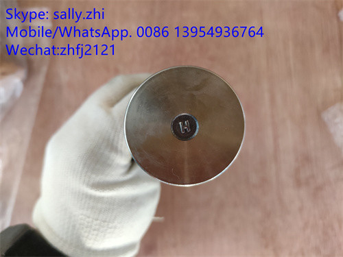 YUCHAI exhaust valve 4110000560144, yuchai engine spare parts for wheel loader