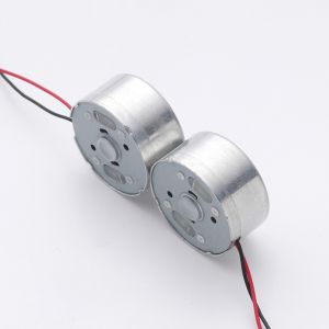 Faradyi Customized DC Brushless Micro Motor Welcome From Manufacturer 5V/12V/24V