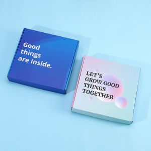 Foldable Recycled Custom Printed Mailer Box With Logo For Cardboard Subscription