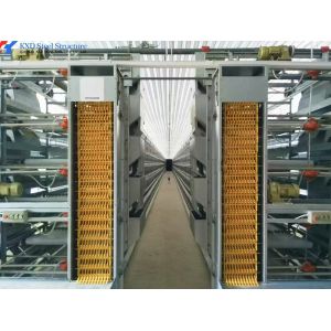 Custom H Type Broiler Rearing Cage , Full Automatic Broiler Cage System