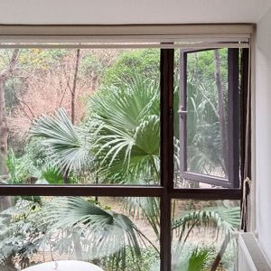 Durable Aluminum Frame Retractable Screen Window with Fiberglass Screen