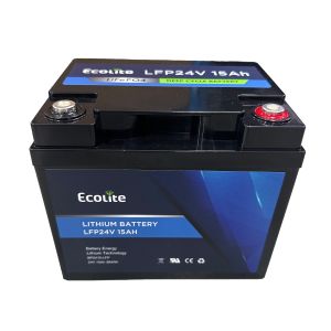 China Ecolite 24v 15Ah High Temperature Range AGV LiFePo4 Lithium Iron Phosphate Integrated BMS on sale