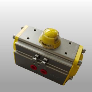 Cheap OEM Color Pneumatic Valve Actuator Rack And Pinion Actuators 90 Degree for sale