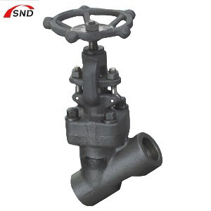 OEM Forged Steel Y Type Check Valve Internal Thread Flanged Connection