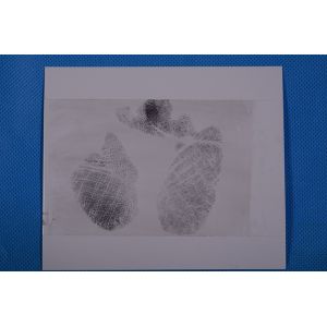 C159 White low gloss palm print backing sheet