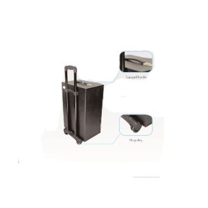 2.0 Channels Portable Trolley Bluetooth Speaker , Audio Player Speaker 8 Inch