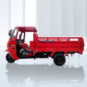 Rear Spring Leafs Tricycle Cargo Motor Tricycle with Dependable Engine