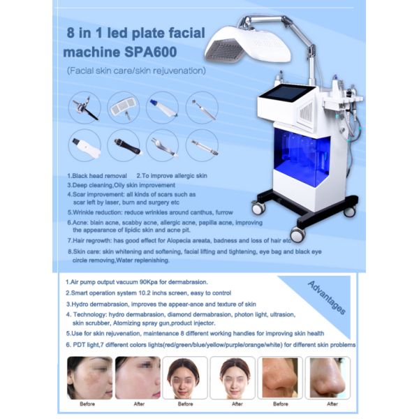 Hot Selling 8 Head Facial Beauty Machines Professional Portable Oxygen Facial Machine