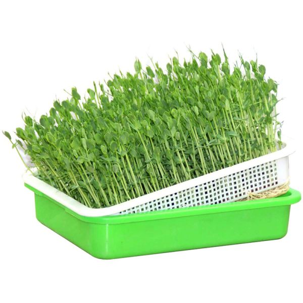 PP Plastic Seedling Germination Trays