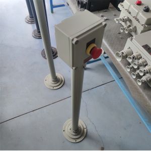 Petrochemical Control Box Panel With ATEX CNEX Rated IP66 WF2 Protection AC110