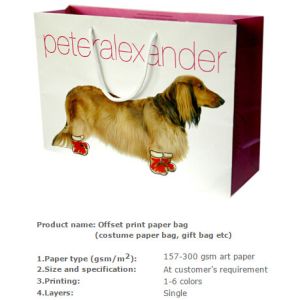 Low Cost Ribbon Handle Gift Carrier Custom Made Design Logo Print Luxury