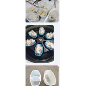 Floor Standing Refrigerated Centrifuge with -20°C to +40°C Cooling Low Noise