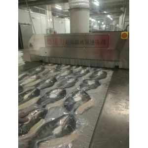 18kw Nitrogen Tunnel Ultra Deep Freezer 2500kg/Hour 2200kg/H