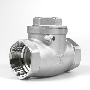 High Grade SS Swing Check Valve 2 Inch 3 Inch 4 Inch OEM Avaliable
