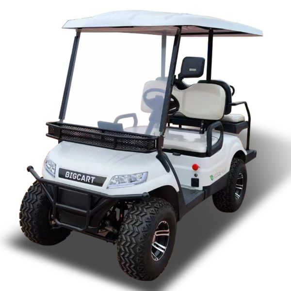 4x4 Utility Golf Cart 2 Seater 30mph Color Custom