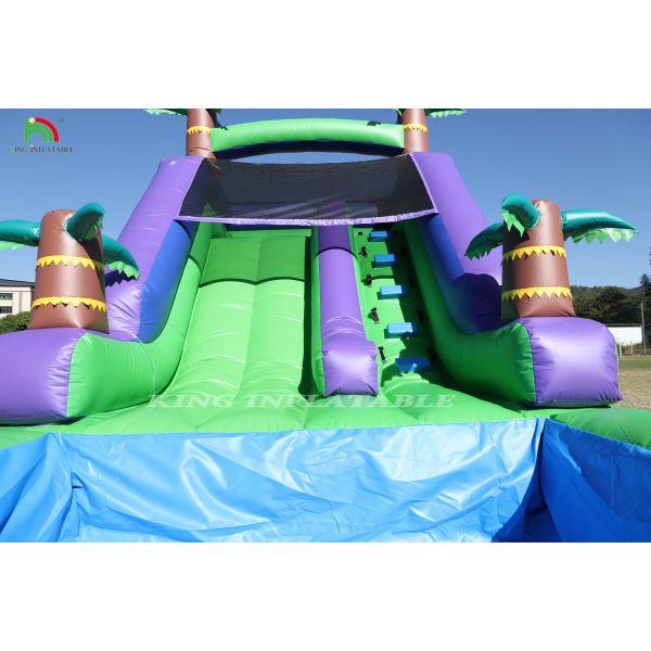 Commercial PVC Inflatable Water Slide Outdoor Backyard Kids Waterslide With Bigger Water Splash Pool & 1100W Blower