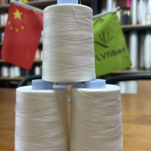 20S/2 40S/2 60S/2 PVA Water Soluble Thread for Embroidery and Fabric Hollowing