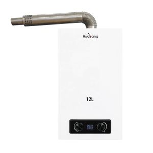 China 16L 18L 220V Wall Mounted Balanced Exhaust Gas Water Heater for Household and Commercial Use on sale