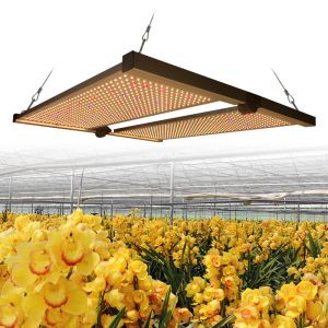 650w Hydroponic 4x4 LED Grow Light For Cannabis Growing