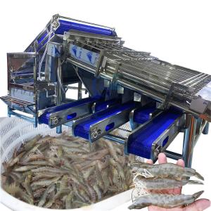 Cheap Industrial Prawn Sorting Machine Multiscene Waterproof Automatic for sale