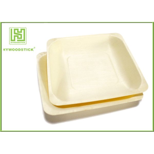 Quality Sturdy Fancy Throw Away Plates , Premium Hotel Disposable Catering Plates wholesale