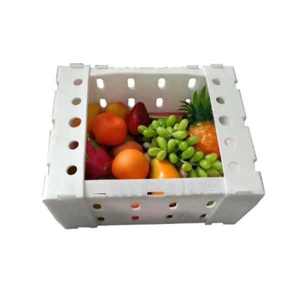 Polypropylene Vegetable Packing Box PP Corrugated Plastic Packaging Box