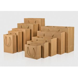 Clothing Store Shopping Paper Bag Logo Custom Advertising Packaging Printing