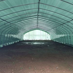 Double Layer Single Span Greenhouse Black Mesh Mushroom Cultivation In