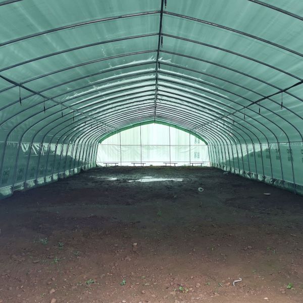 Quality Double Layer Single Span Greenhouse Black Mesh Mushroom Cultivation In Greenhouses wholesale
