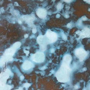 PVD Rustproof Patina Steel Panels , Inoxidable Patinated Brass Sheet