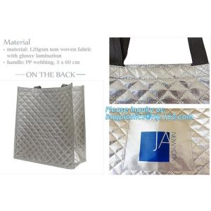 Large folding keeping cool cooler bag lunch bag for food fruit seafood steak