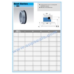 G60 SIC Mechanical Seal O Ring , Silicon Carbide Seal Ring BO Seat