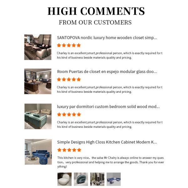 Living Room Chair Walnut Veneer Fiberglass Pointed Ball Oval Egg Shell Type Lounge Chair Space Capsule Bubble Seat