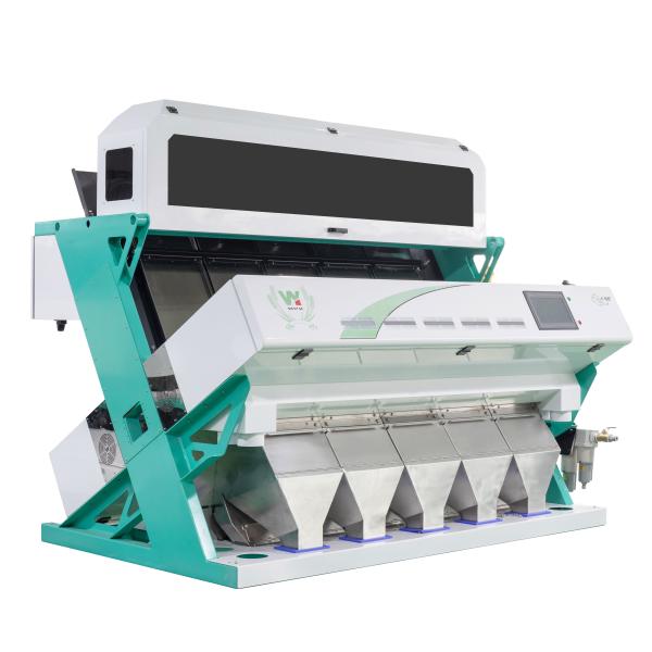 Macadamia Nut Hazelnut Color Sorting Machine Separator High Precision Ai