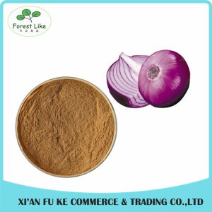 Factory Price Natural Vegetable Dried Onion Extract Powder