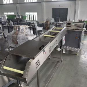 Waste Recycling Plastic Machines PP PE PS ABS Recycling Machine for Plastic